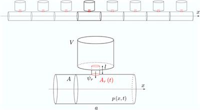 Adiabatic sound transport in acoustic waveguides with time-varying Helmholtz resonators